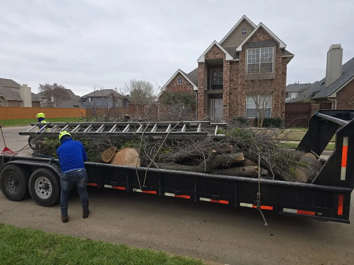 Expert Tree Fertilization with proper safety equipment in Sunset Beach